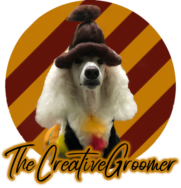 The creative groomer Erin Martin Standard poodle white coat carving color dye pet save 